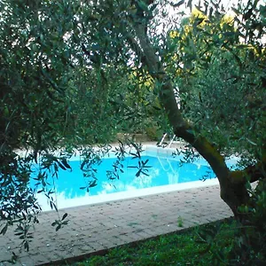 https://agriturismo-santa-maria-campagnatico.it-tuscanyhotel.com